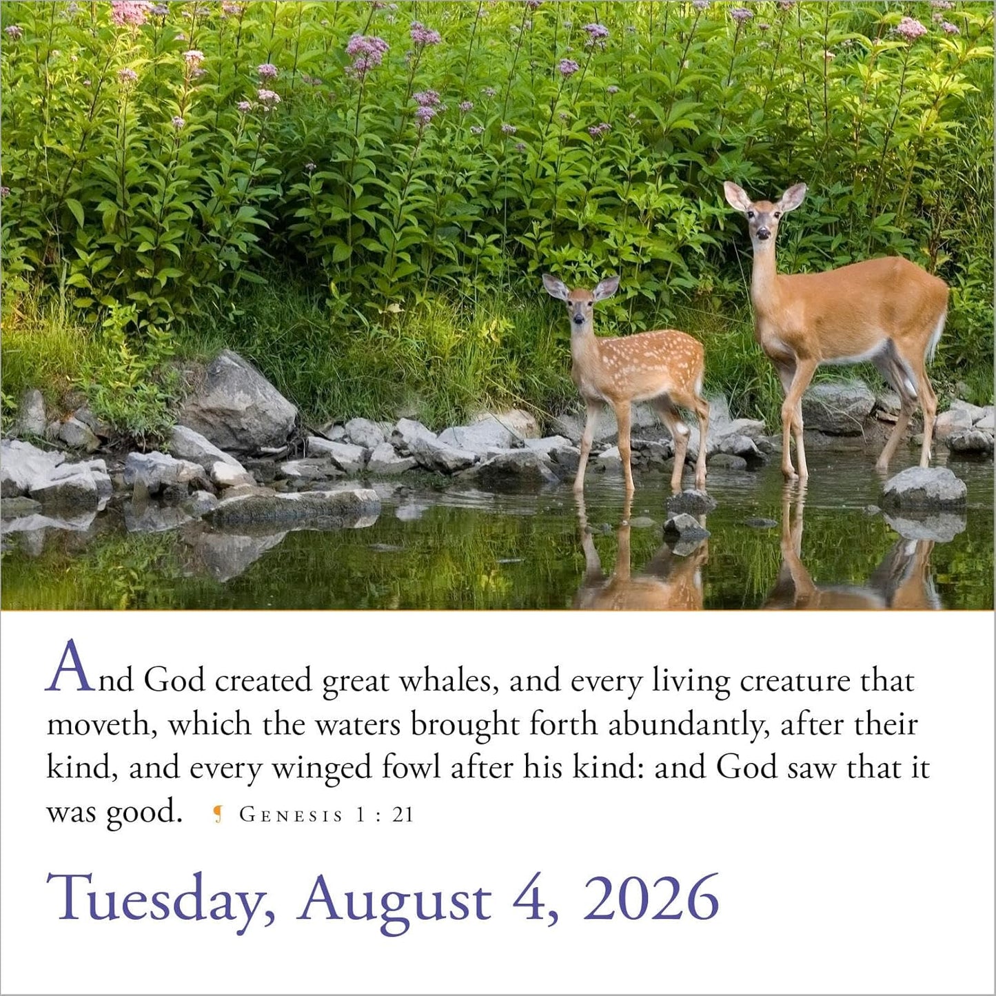 365 Bible Verses-A-Year Page-A-Day(r) Calendar 2026: Timeless Words from the Bible to Guide, Comfort, and Inspire