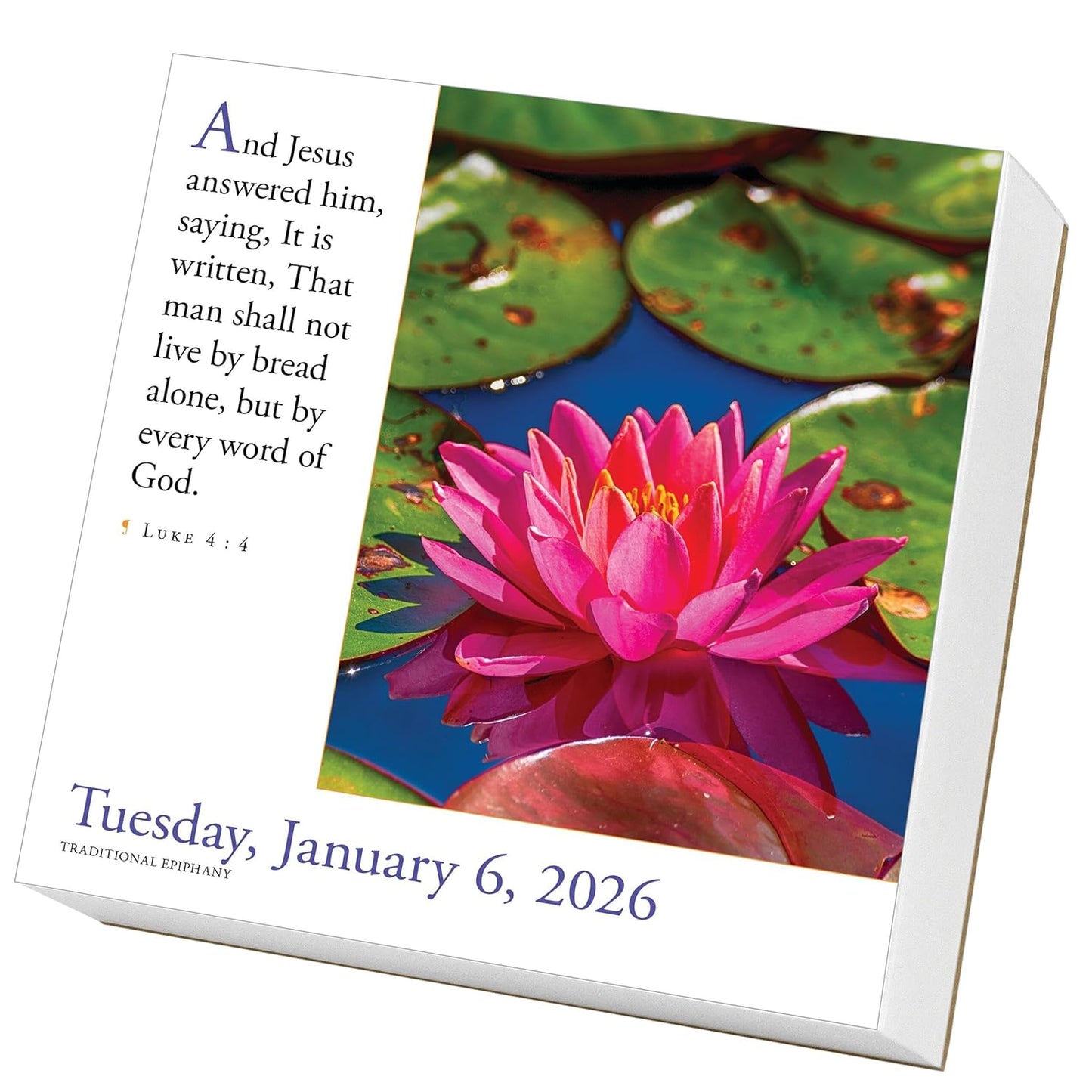 365 Bible Verses-A-Year Page-A-Day(r) Calendar 2026: Timeless Words from the Bible to Guide, Comfort, and Inspire