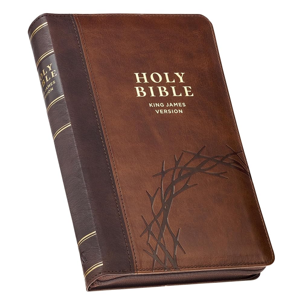 KJV Holy Bible, Deluxe Gift Bible with Thumb Tabs, Ribbon Marker, King James Version, Faux Leather, Amazing Grace, Zipper Closure cover image