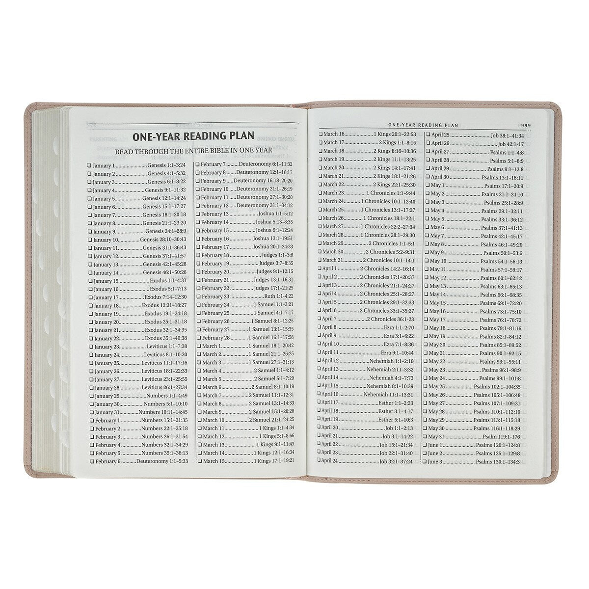 KJV Holy Bible, Gift Edition Faux Leather, King James Version, Taupe