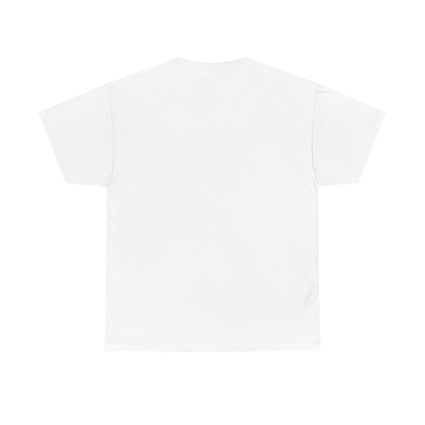 Faith-Inspired Cotton Tee, Christian Apparel, Casual Everyday Wear, Gift for Believers, Spiritual Fashion, Church Events