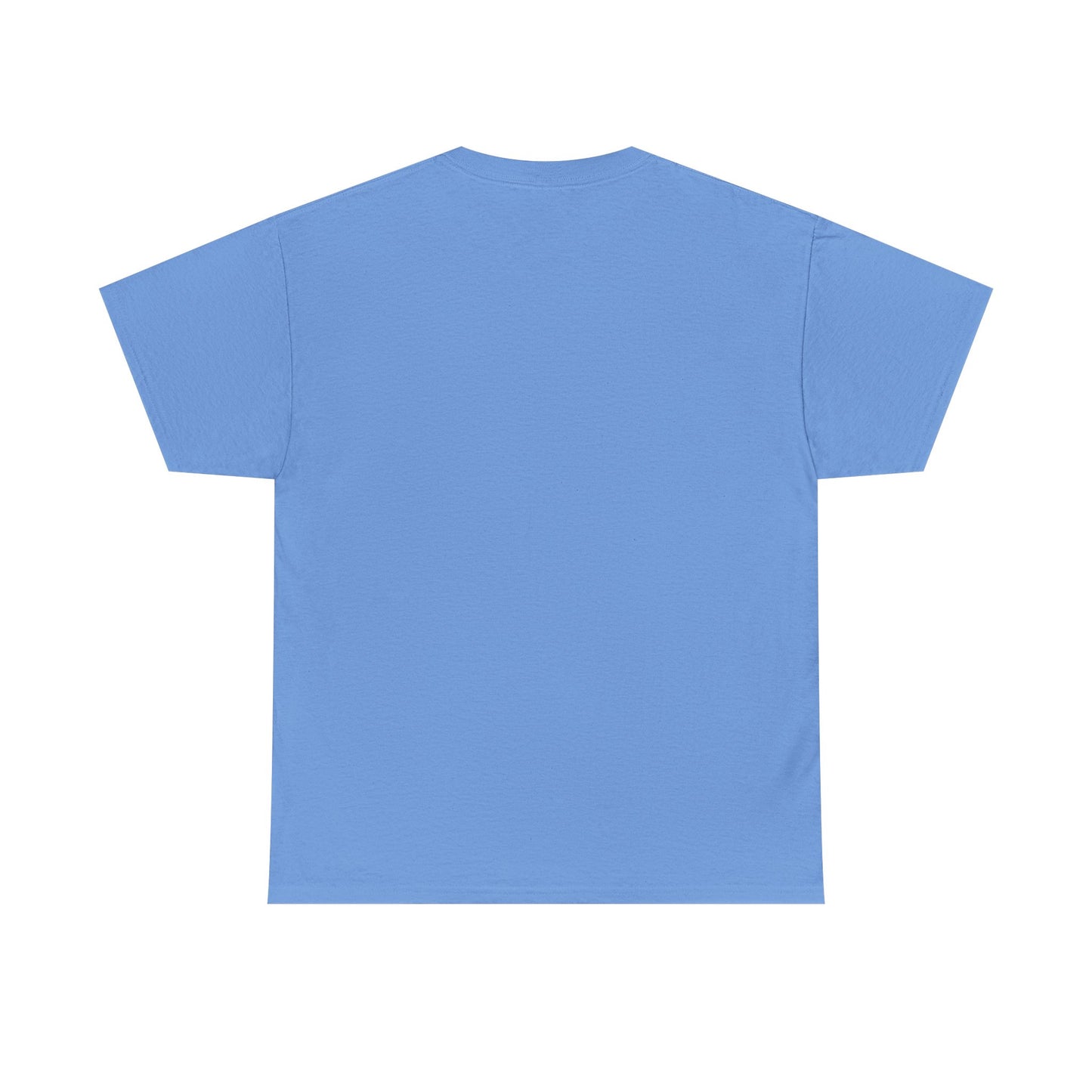 Faith-Inspired Cotton Tee, Christian Apparel, Casual Everyday Wear, Gift for Believers, Spiritual Fashion, Church Events