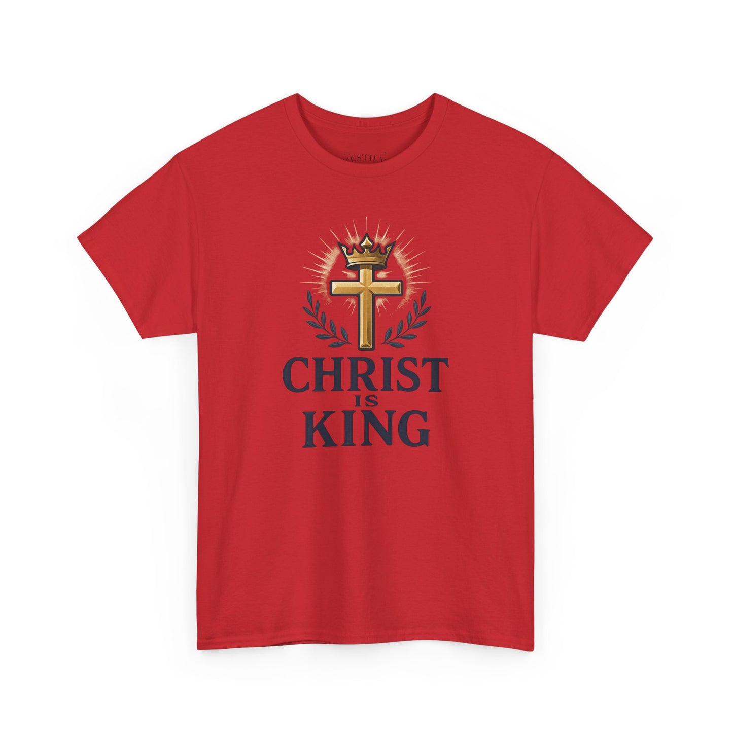 Faith-Inspired Cotton Tee, Christian Apparel, Casual Everyday Wear, Gift for Believers, Spiritual Fashion, Church Events