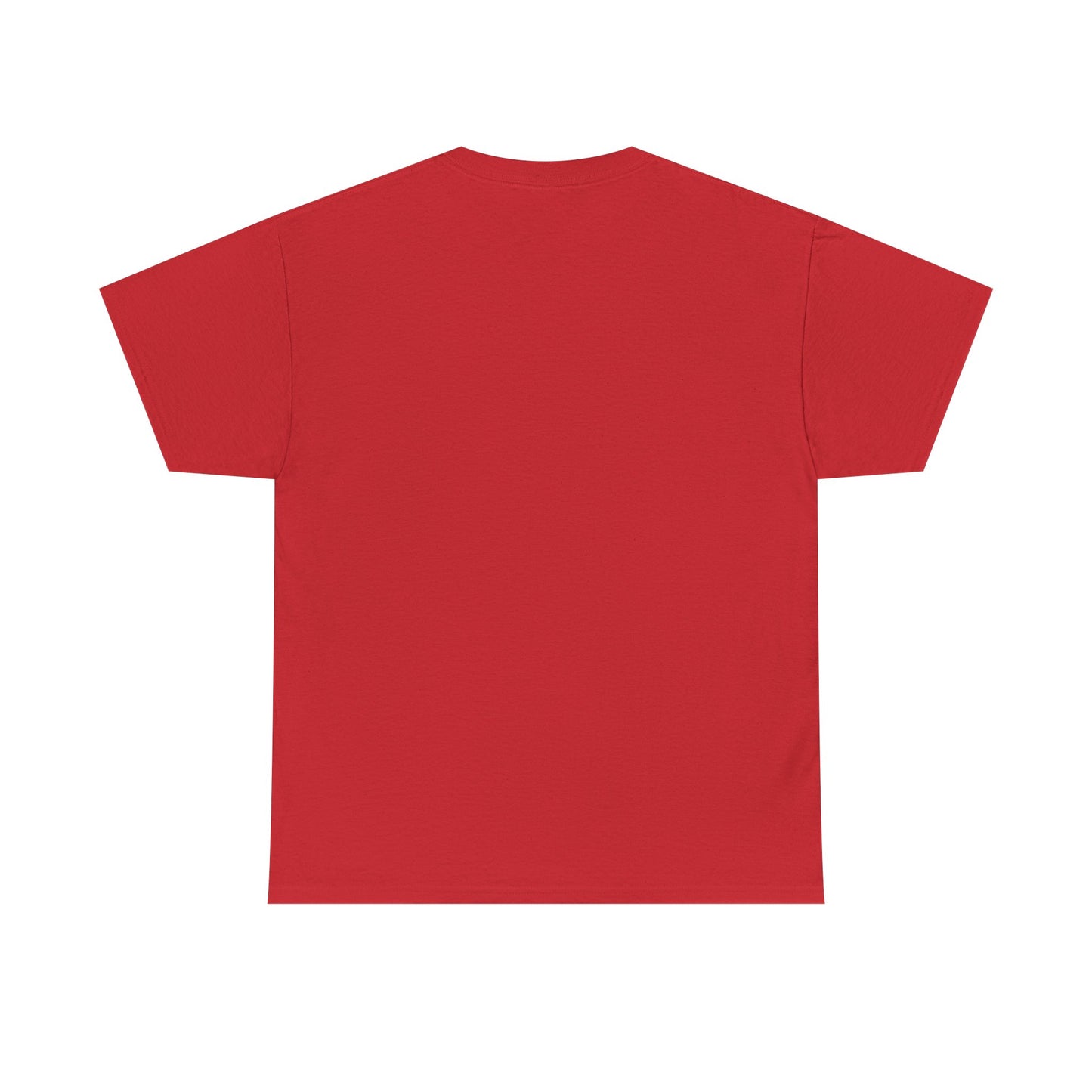 Faith-Inspired Cotton Tee, Christian Apparel, Casual Everyday Wear, Gift for Believers, Spiritual Fashion, Church Events