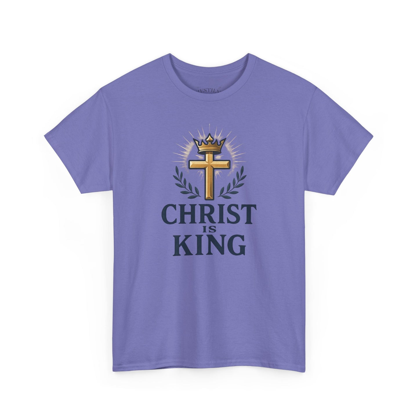 Faith-Inspired Cotton Tee, Christian Apparel, Casual Everyday Wear, Gift for Believers, Spiritual Fashion, Church Events