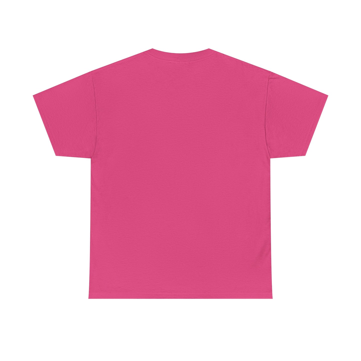 Faith-Inspired Cotton Tee, Christian Apparel, Casual Everyday Wear, Gift for Believers, Spiritual Fashion, Church Events