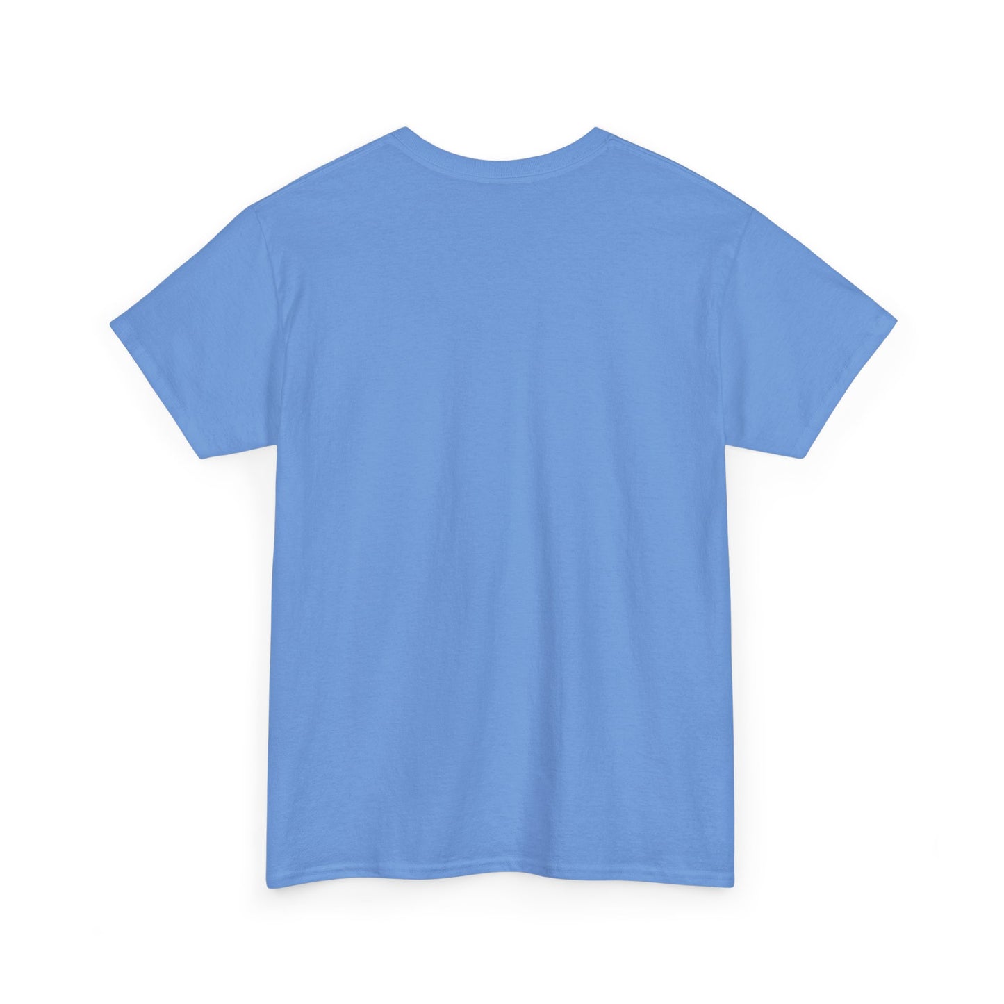 Faith-Inspired Cotton Tee, Christian Apparel, Casual Everyday Wear, Gift for Believers, Spiritual Fashion, Church Events
