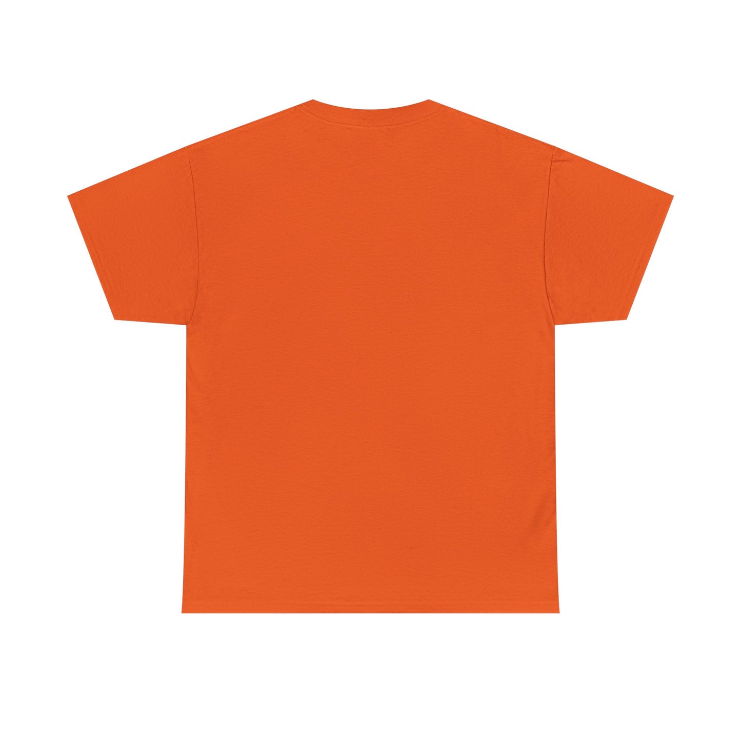 Faith-Inspired Cotton Tee, Christian Apparel, Casual Everyday Wear, Gift for Believers, Spiritual Fashion, Church Events
