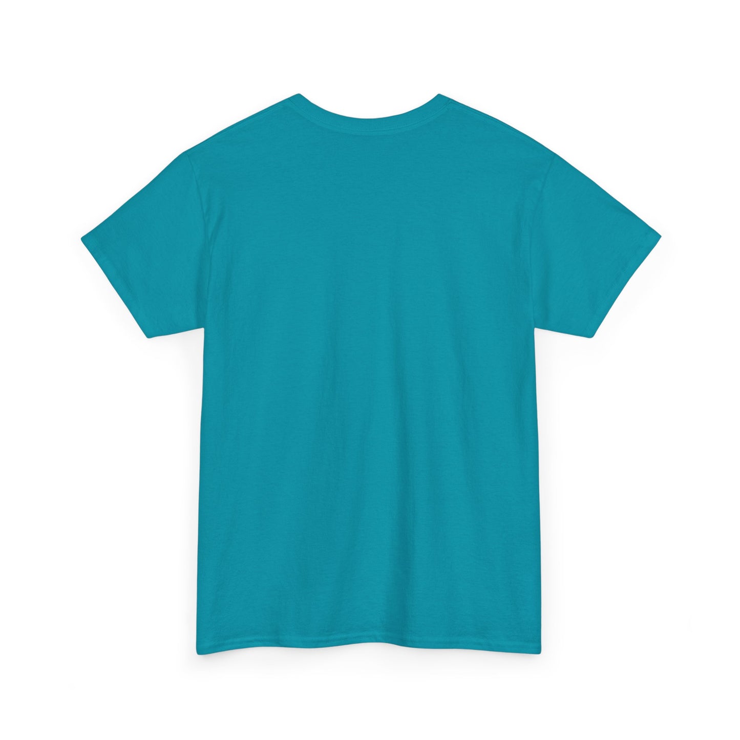 Faith-Inspired Cotton Tee, Christian Apparel, Casual Everyday Wear, Gift for Believers, Spiritual Fashion, Church Events