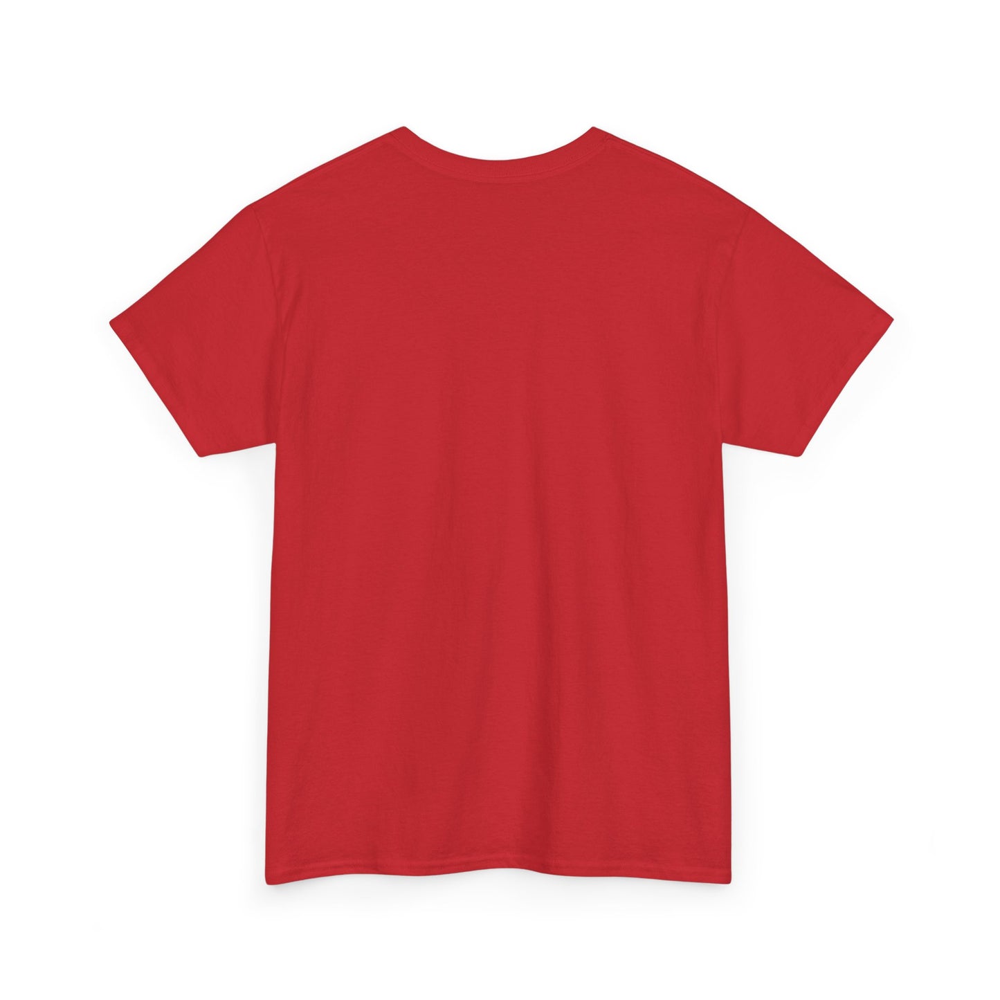 Faith-Inspired Cotton Tee, Christian Apparel, Casual Everyday Wear, Gift for Believers, Spiritual Fashion, Church Events