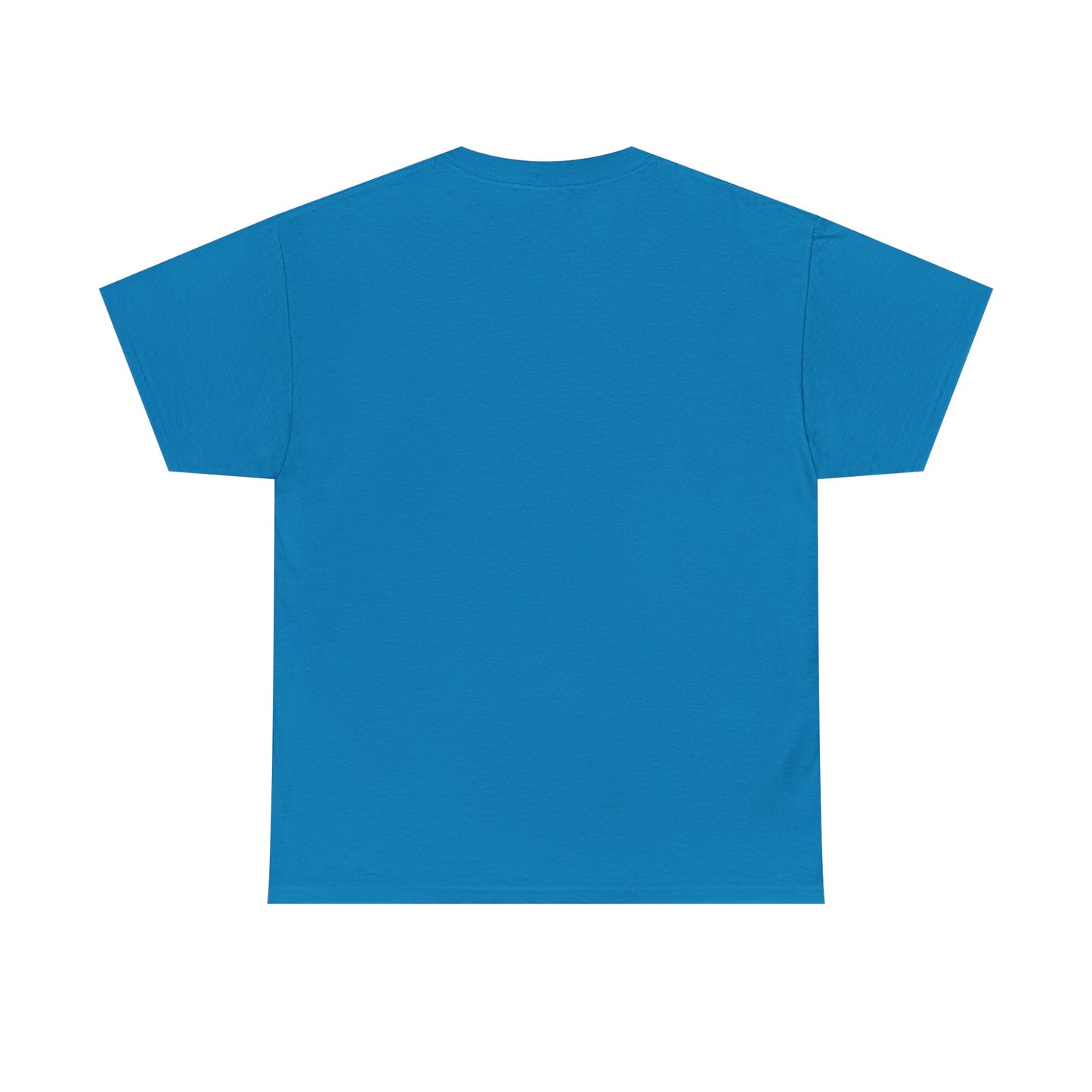 Faith-Inspired Cotton Tee, Christian Apparel, Casual Everyday Wear, Gift for Believers, Spiritual Fashion, Church Events