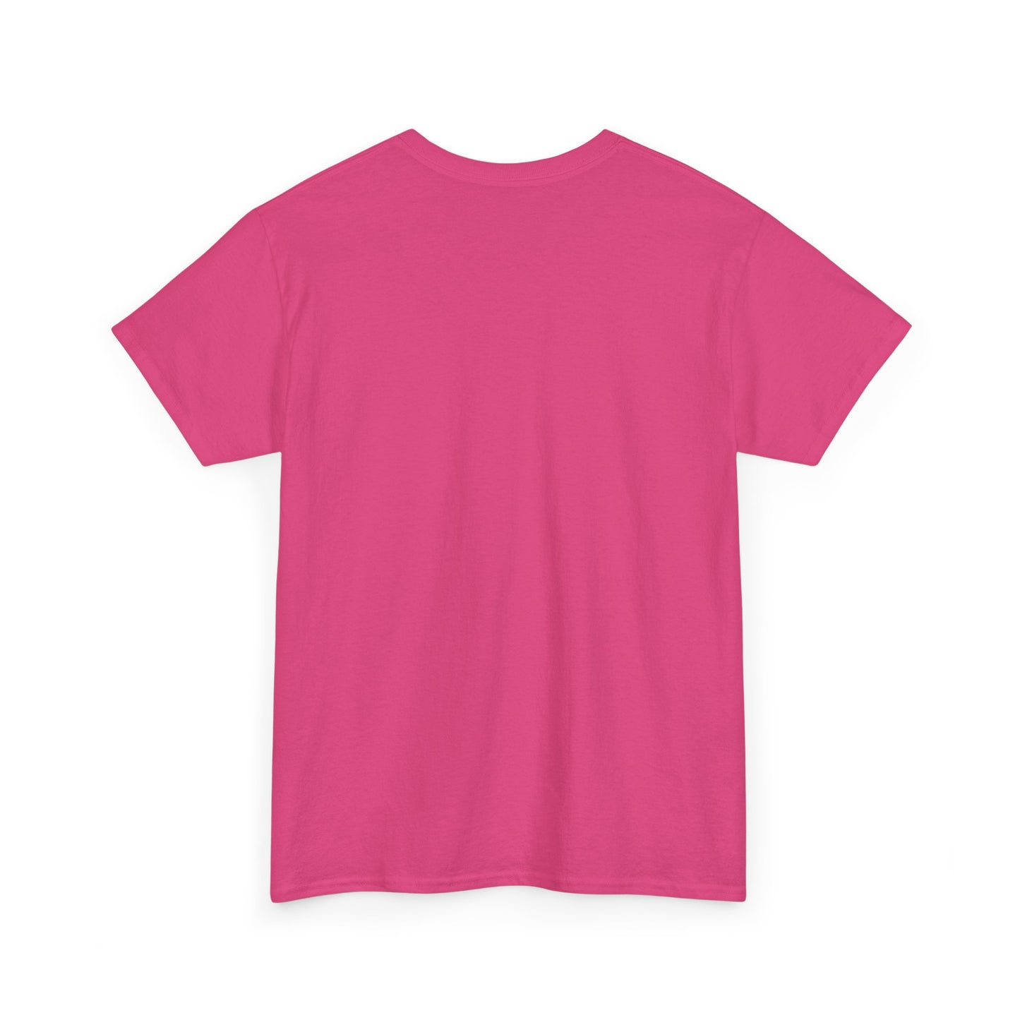 Faith-Inspired Cotton Tee, Christian Apparel, Casual Everyday Wear, Gift for Believers, Spiritual Fashion, Church Events