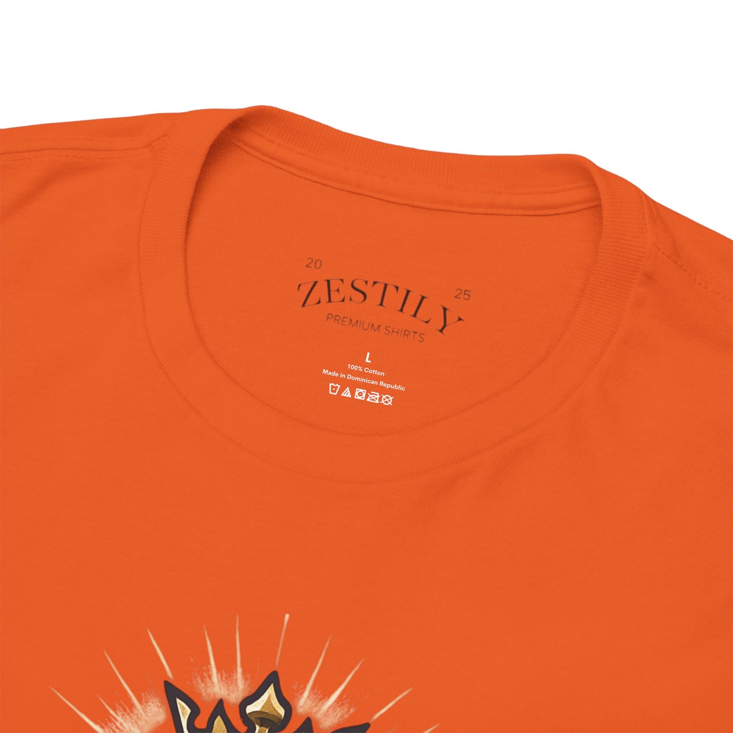 Faith-Inspired Cotton Tee, Christian Apparel, Casual Everyday Wear, Gift for Believers, Spiritual Fashion, Church Events