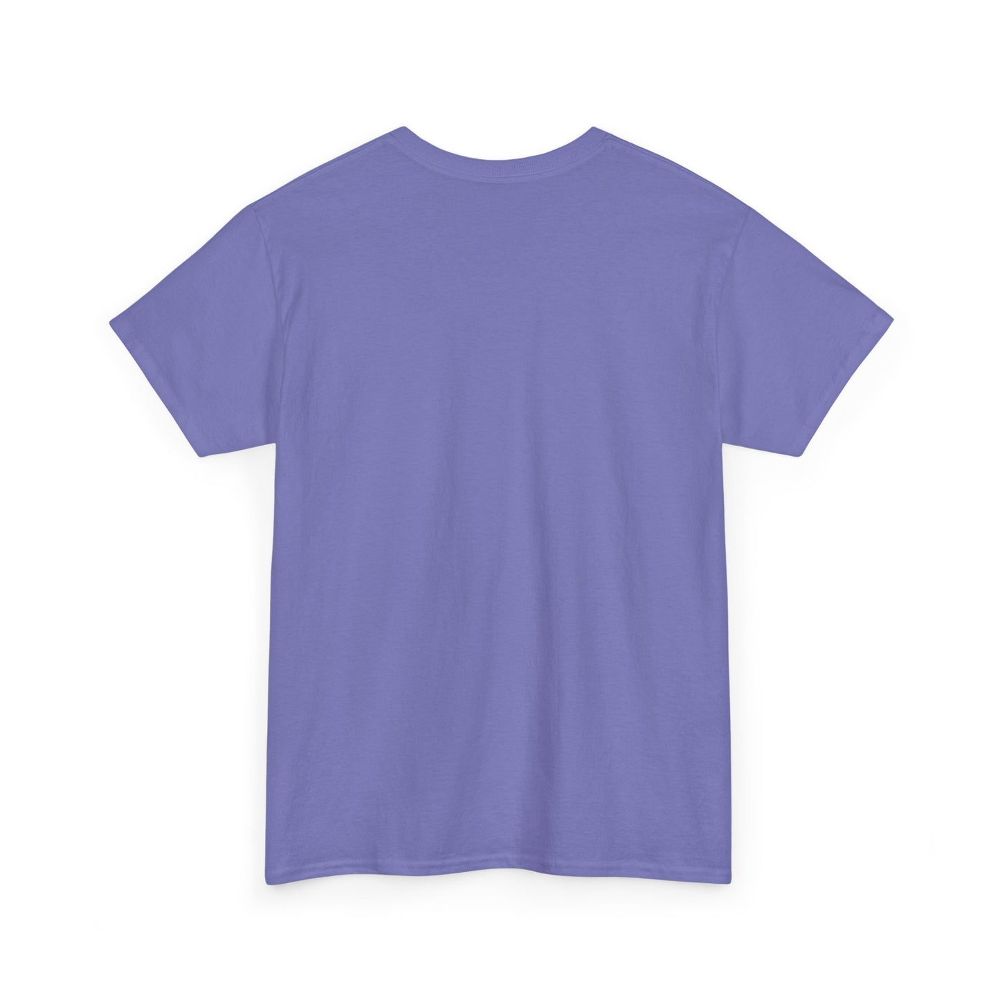 Faith-Inspired Cotton Tee, Christian Apparel, Casual Everyday Wear, Gift for Believers, Spiritual Fashion, Church Events