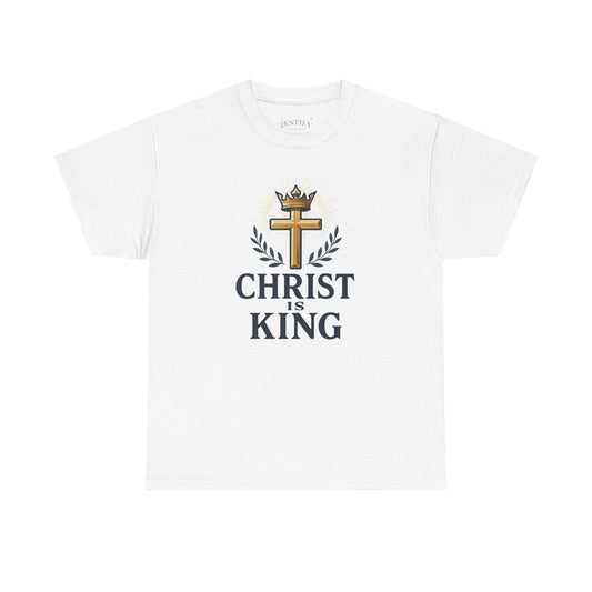 Faith-Inspired Cotton Tee, Christian Apparel, Casual Everyday Wear, Gift for Believers, Spiritual Fashion, Church Events