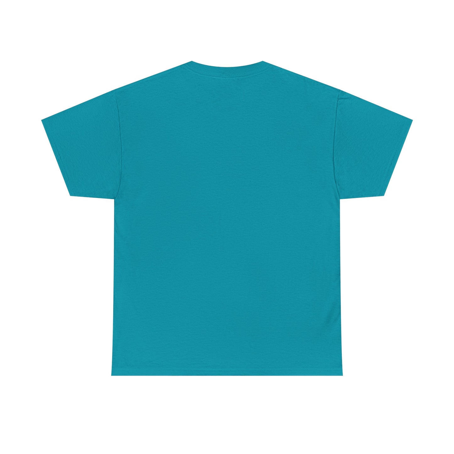 Faith-Inspired Cotton Tee, Christian Apparel, Casual Everyday Wear, Gift for Believers, Spiritual Fashion, Church Events