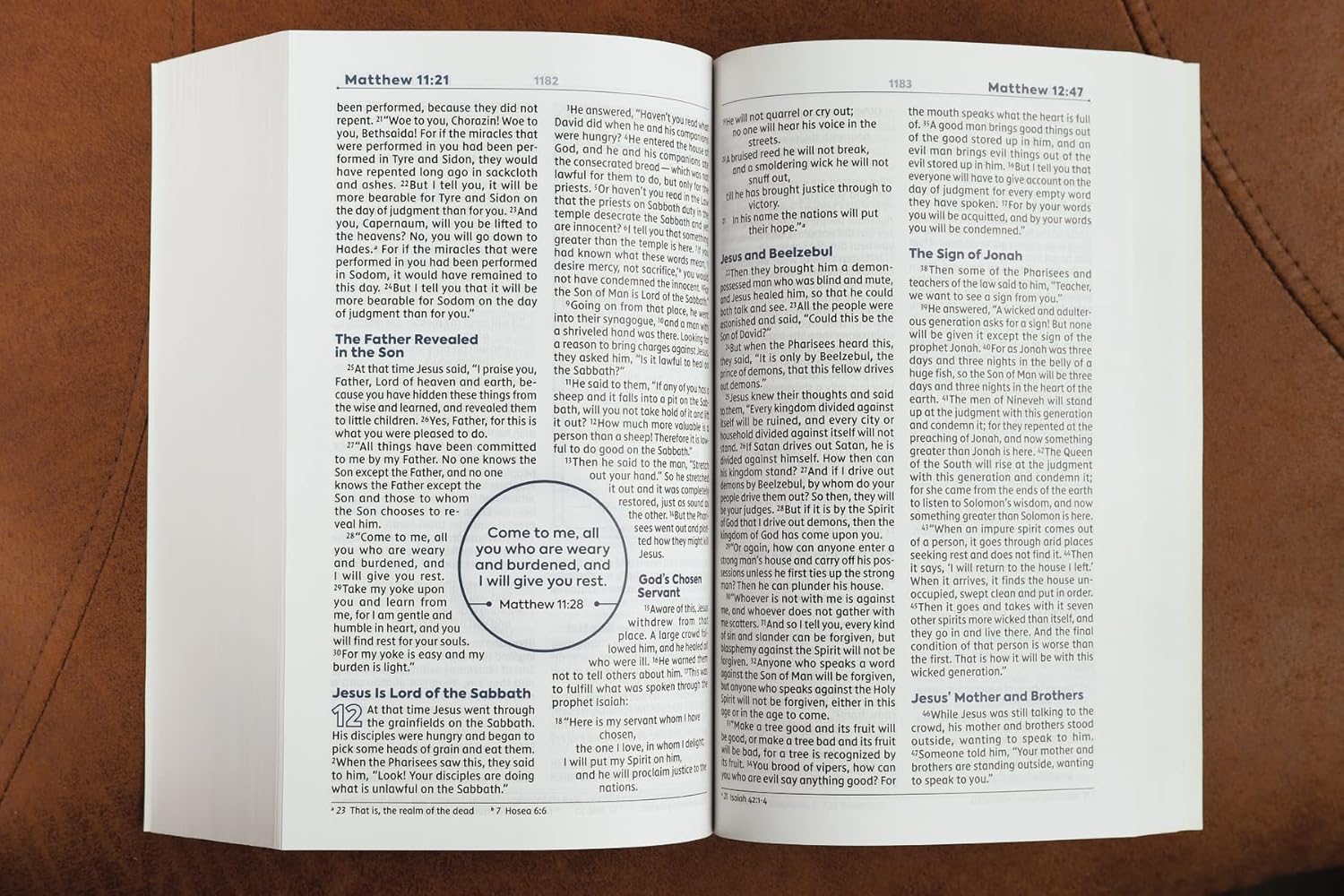 NIV, Teen Study Bible (For Life Issues You Face Every Day), Paperback, Comfort Print