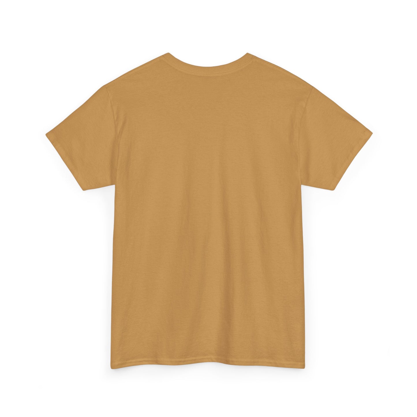 Faith-Inspired Cotton Tee, Christian Apparel, Casual Everyday Wear, Gift for Believers, Spiritual Fashion, Church Events