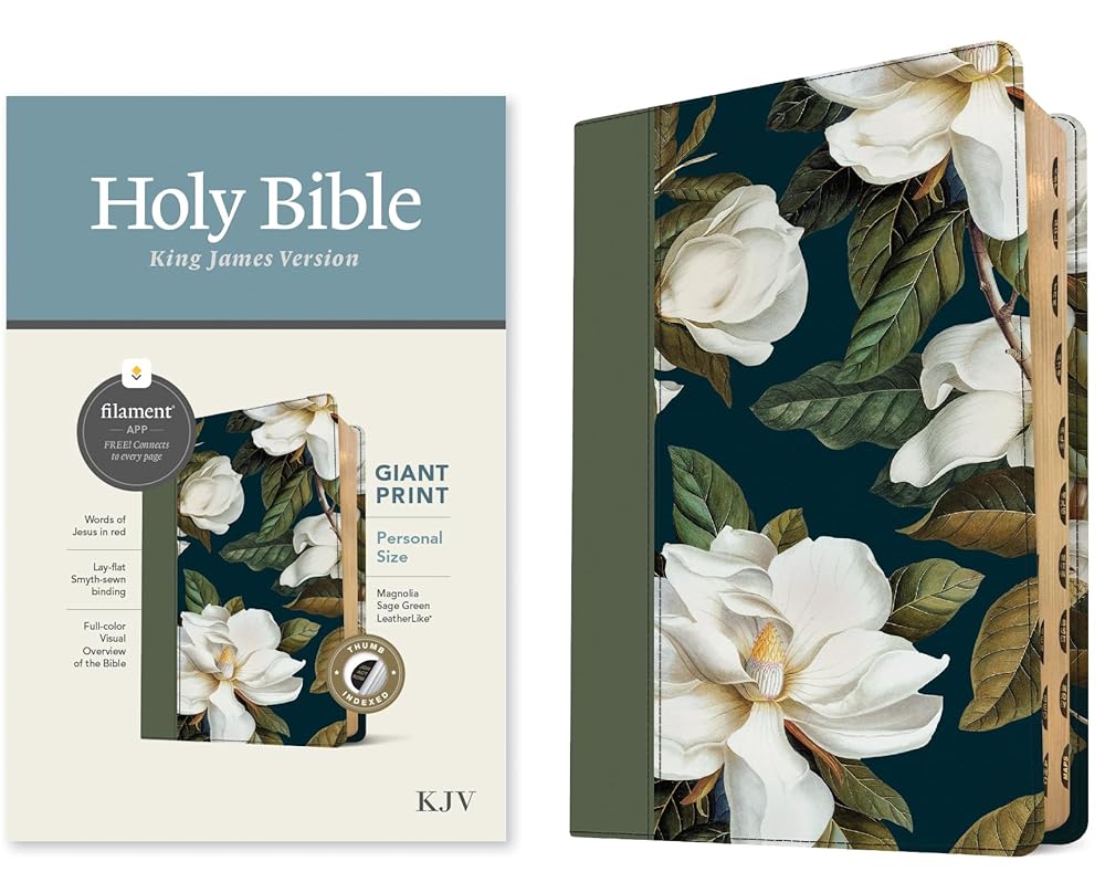 KJV Personal Size Giant Print Bible, Filament Enabled (LeatherLike, Magnolia Sage Green, Indexed, Red Letter) cover image