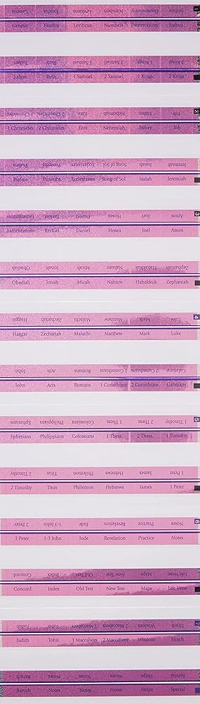 Princess Bible Tabs (Majestic™ Bible) cover image