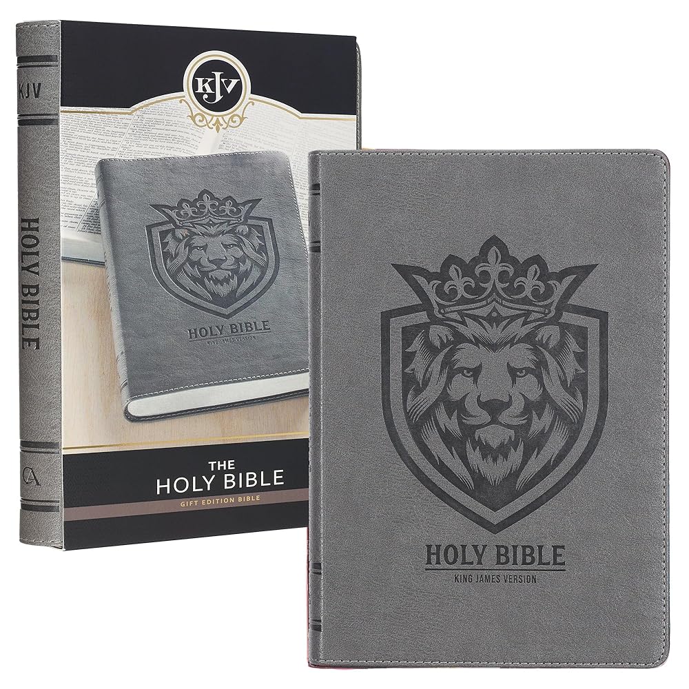 KJV Holy Bible, Gift Edition for Boys King James Version, Faux Leather Flexible Cover, Charcoal Gray Lion Emblem (KJV Gift Editions) cover image