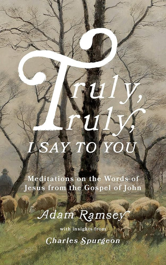 Truly, Truly, I Say to You: Meditations on the Words of Jesus from the Gospel of John (40 Devotions for Lent / Lenten Devotional / Time with Jesus Every Day) cover image