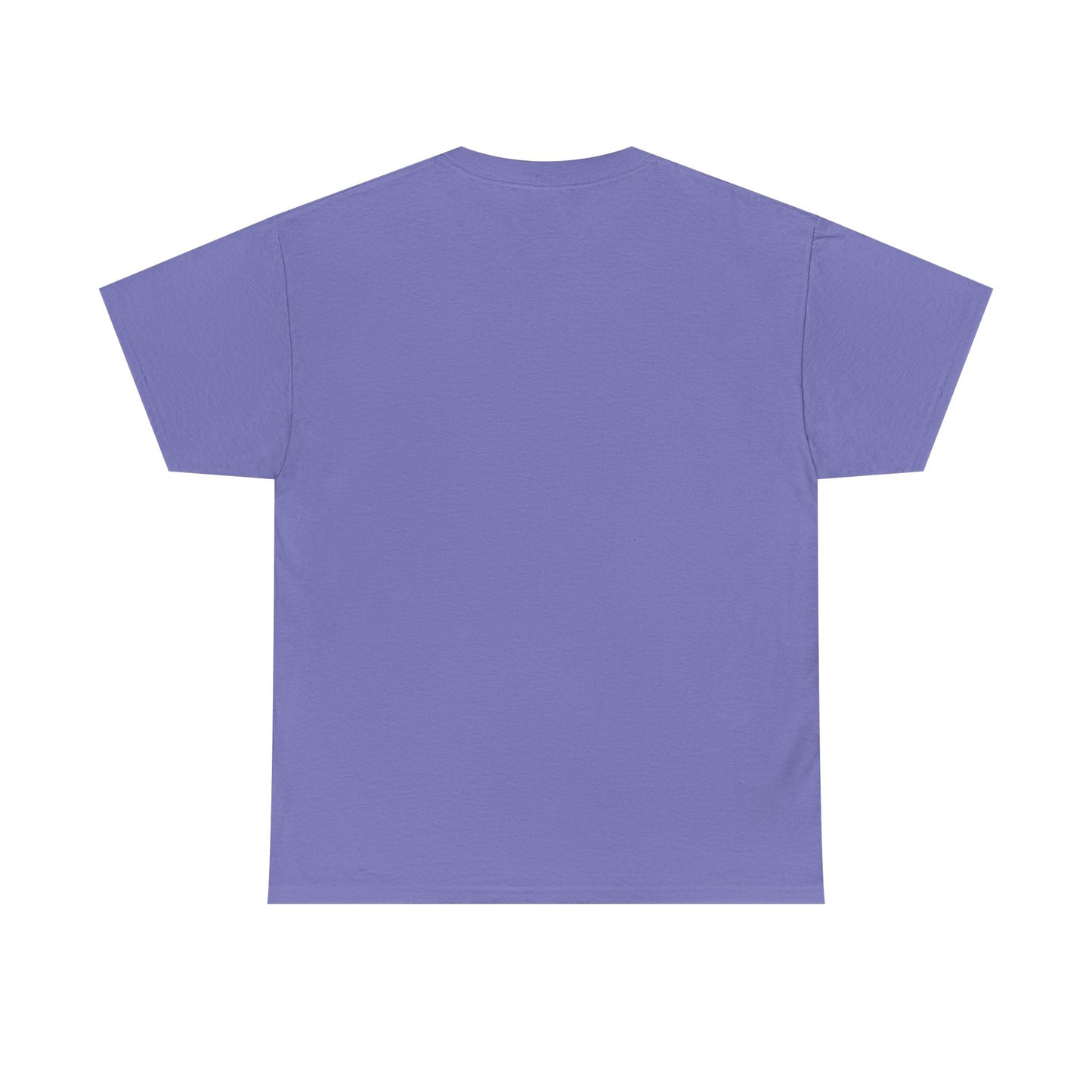 Faith-Inspired Cotton Tee, Christian Apparel, Casual Everyday Wear, Gift for Believers, Spiritual Fashion, Church Events