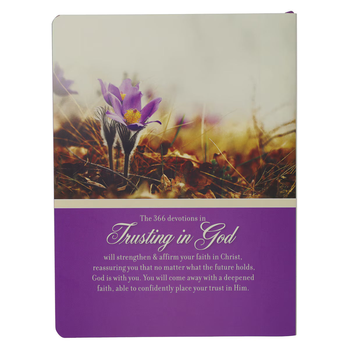 Trusting in God: 366 Devotions