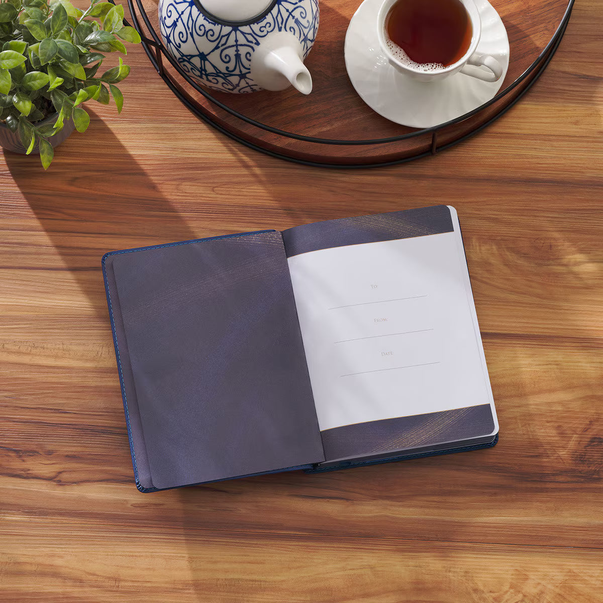 Live Well: God's Plan for Your Wellbeing