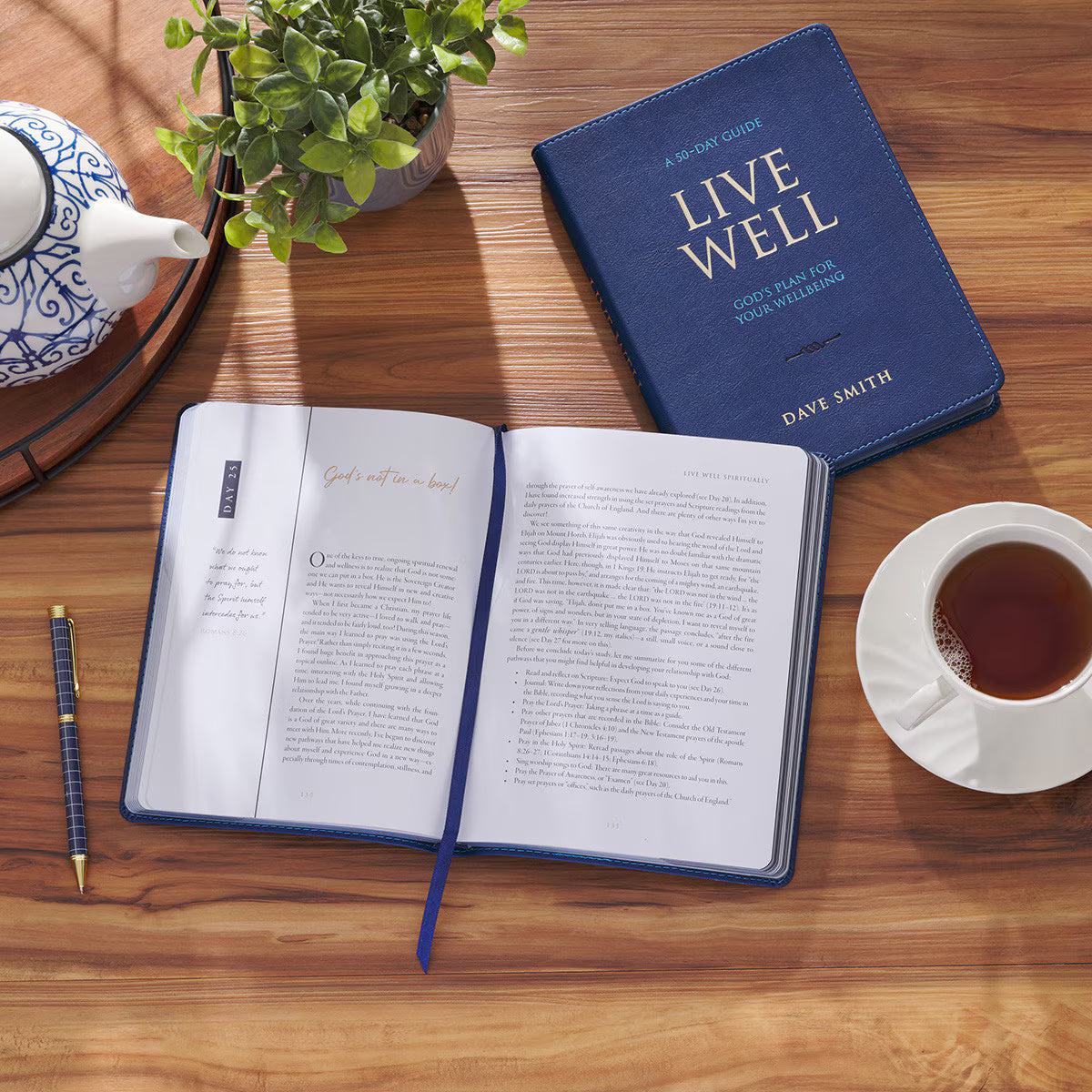 Live Well: God's Plan for Your Wellbeing