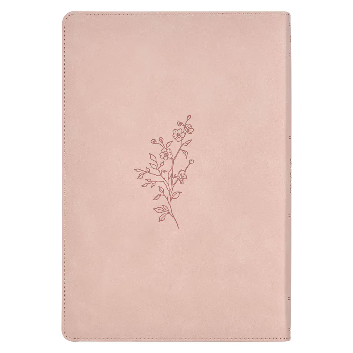 KJV Holy Bible, Gift Edition Faux Leather, King James Version, Taupe