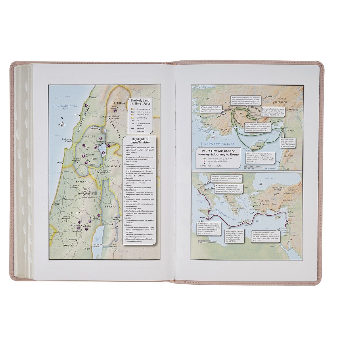 KJV Holy Bible, Gift Edition Faux Leather, King James Version, Taupe