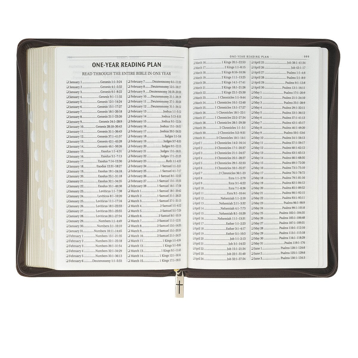 KJV Holy Bible, Deluxe Gift Bible with Thumb Tabs, Ribbon Marker, King James Version, Faux Leather, Amazing Grace, Zipper Closure