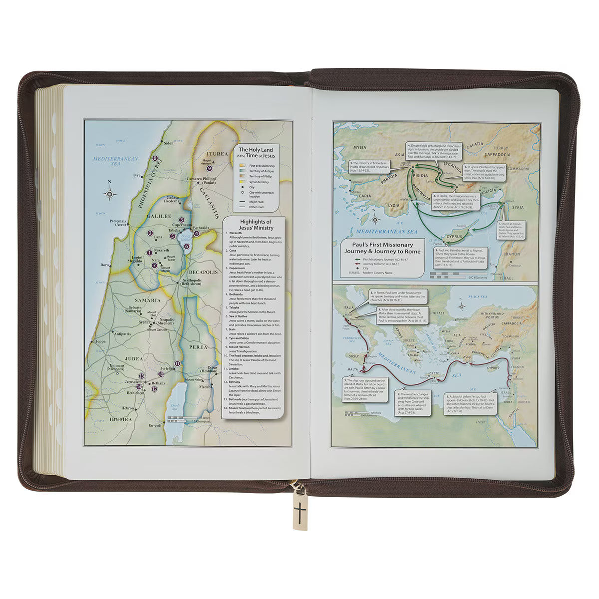 KJV Holy Bible, Deluxe Gift Bible with Thumb Tabs, Ribbon Marker, King James Version, Faux Leather, Amazing Grace, Zipper Closure