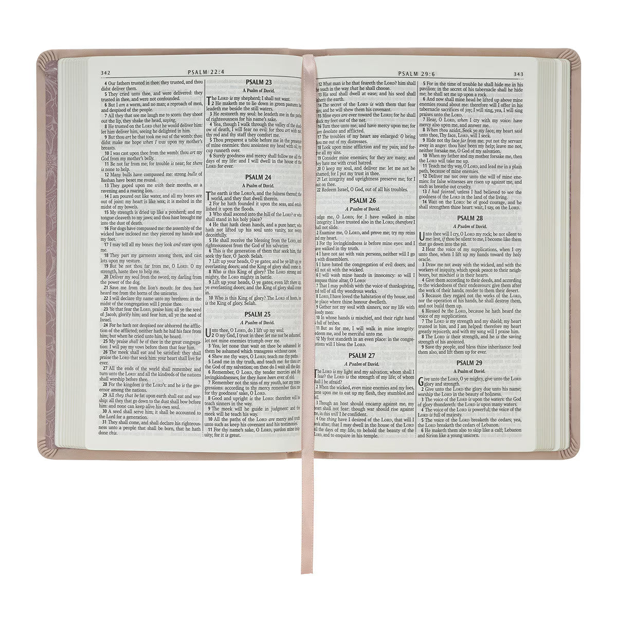 KJV Holy Bible, Thinline Large Print Vegan Leather Red Letter Edition Thumb Index & Ribbon Marker, King James Version (KJV Thinline LP Editions)