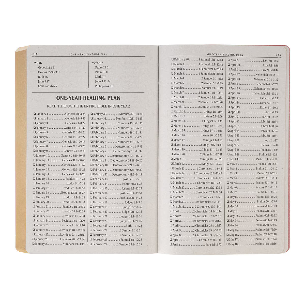 KJV Holy Bible, Gift Edition Faux Leather, King James Version, Pink