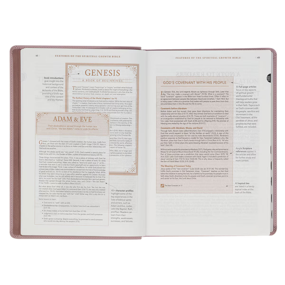 The Spiritual Growth Bible, Study Bible, NLT - New Living Translation Holy Bible, Faux Leather, Purple/Lavender