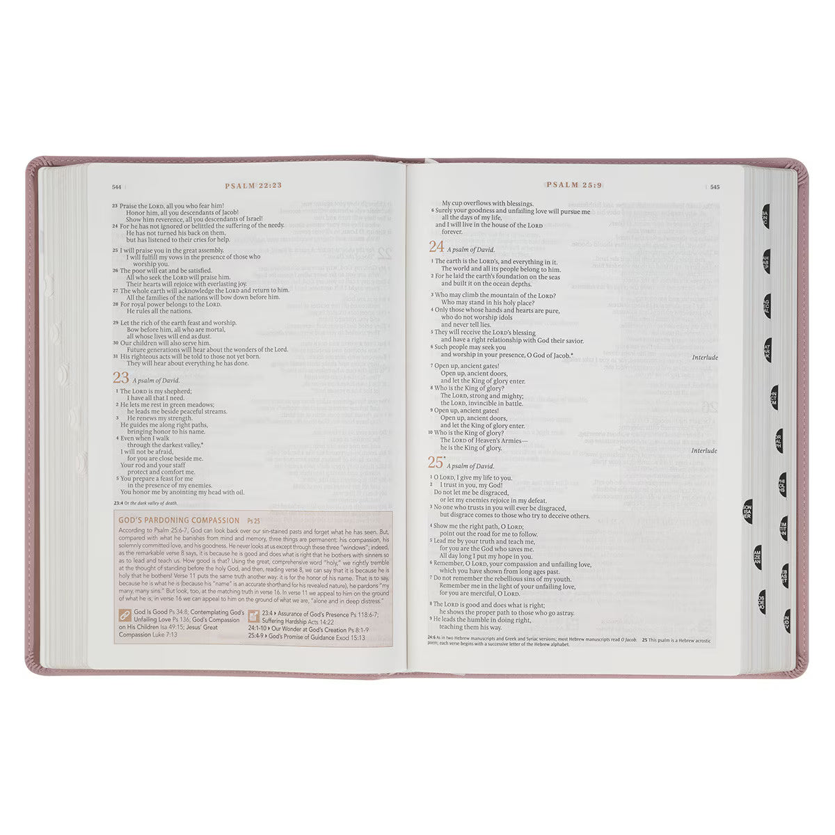 The Spiritual Growth Bible, Study Bible, NLT - New Living Translation Holy Bible, Faux Leather, Purple/Lavender