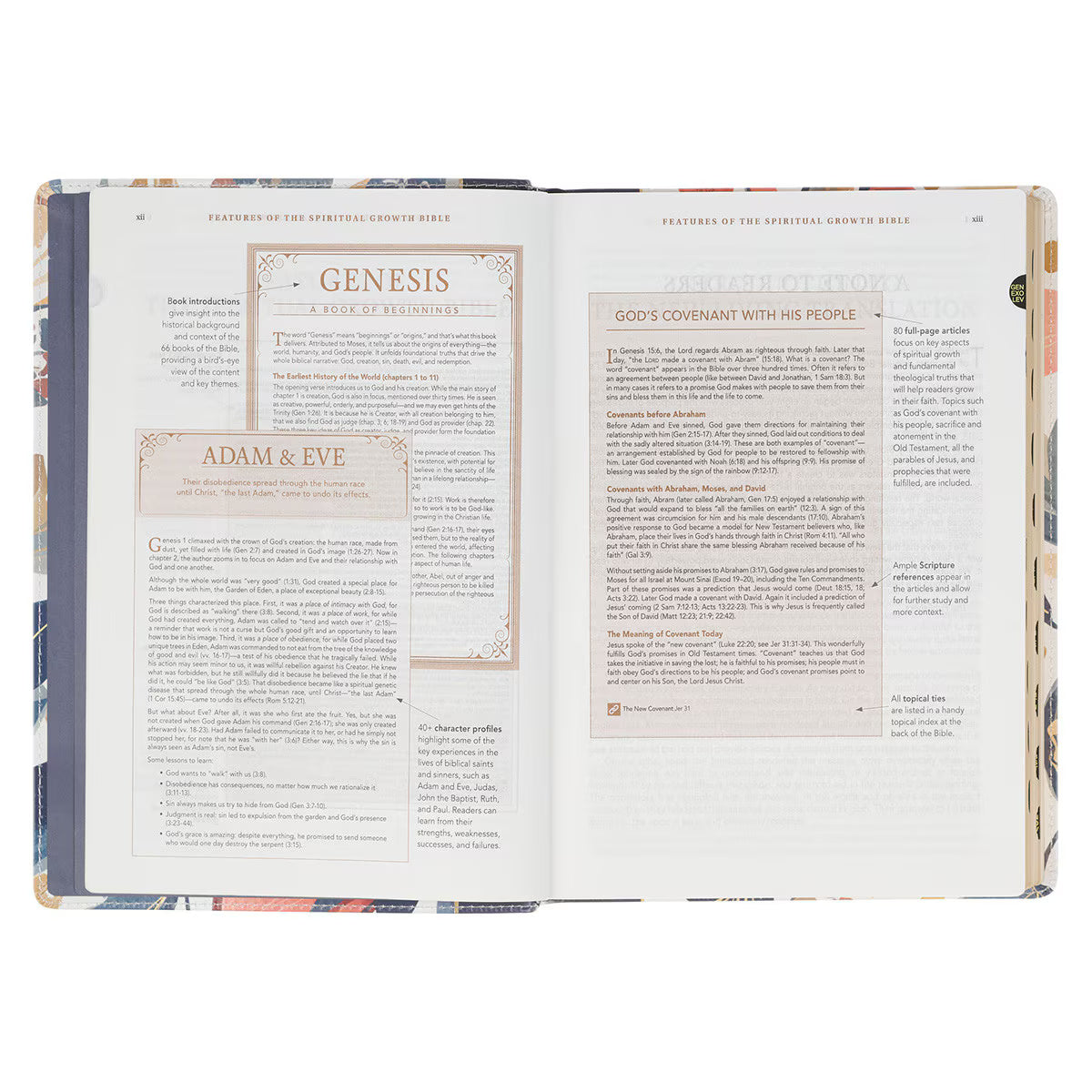 The Spiritual Growth Bible, Study Bible, NLT - New Living Translation Holy Bible, Faux Leather, Navy/Leaf Design
